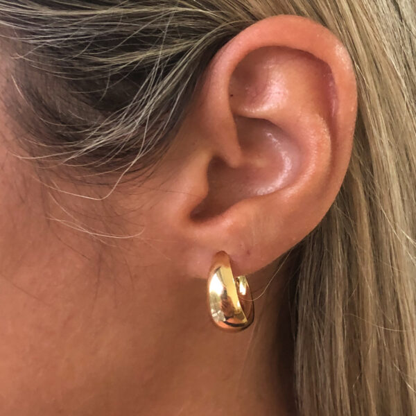 Brinco de Argola Luciana Folheada Ouro 18K